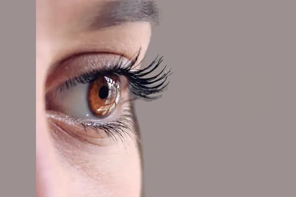 Lash extensions, lifts, tints, and Russian volume from qualified lash specialists near you.